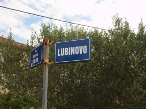 Apartments komarac Apartment for two persons plus two extra beds, Slatine